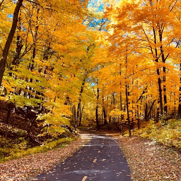 Meet your Posher, Katie - Picture 1 of 1